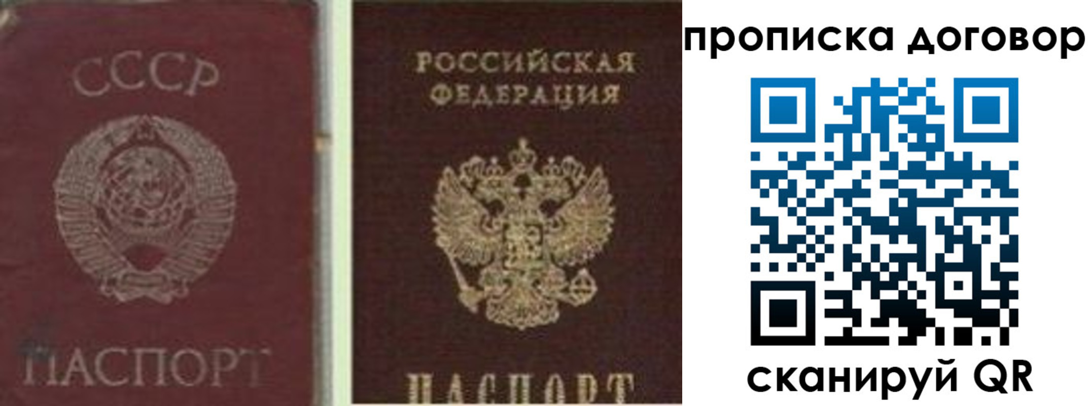 прописка гарантия в Давлеканово